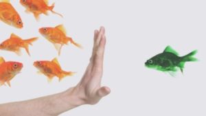 tandem hr, hr trends and best practices