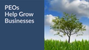 tandem hr, hr solutions, 7 ways PEO services help grow your business blog