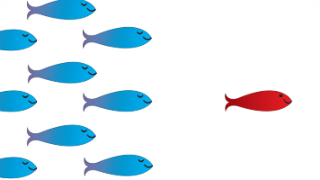 Cultivating Leadership from Your Rock Star Performers