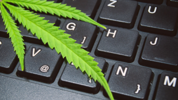 Ask an HR Expert: Legalization of recreational marijuana